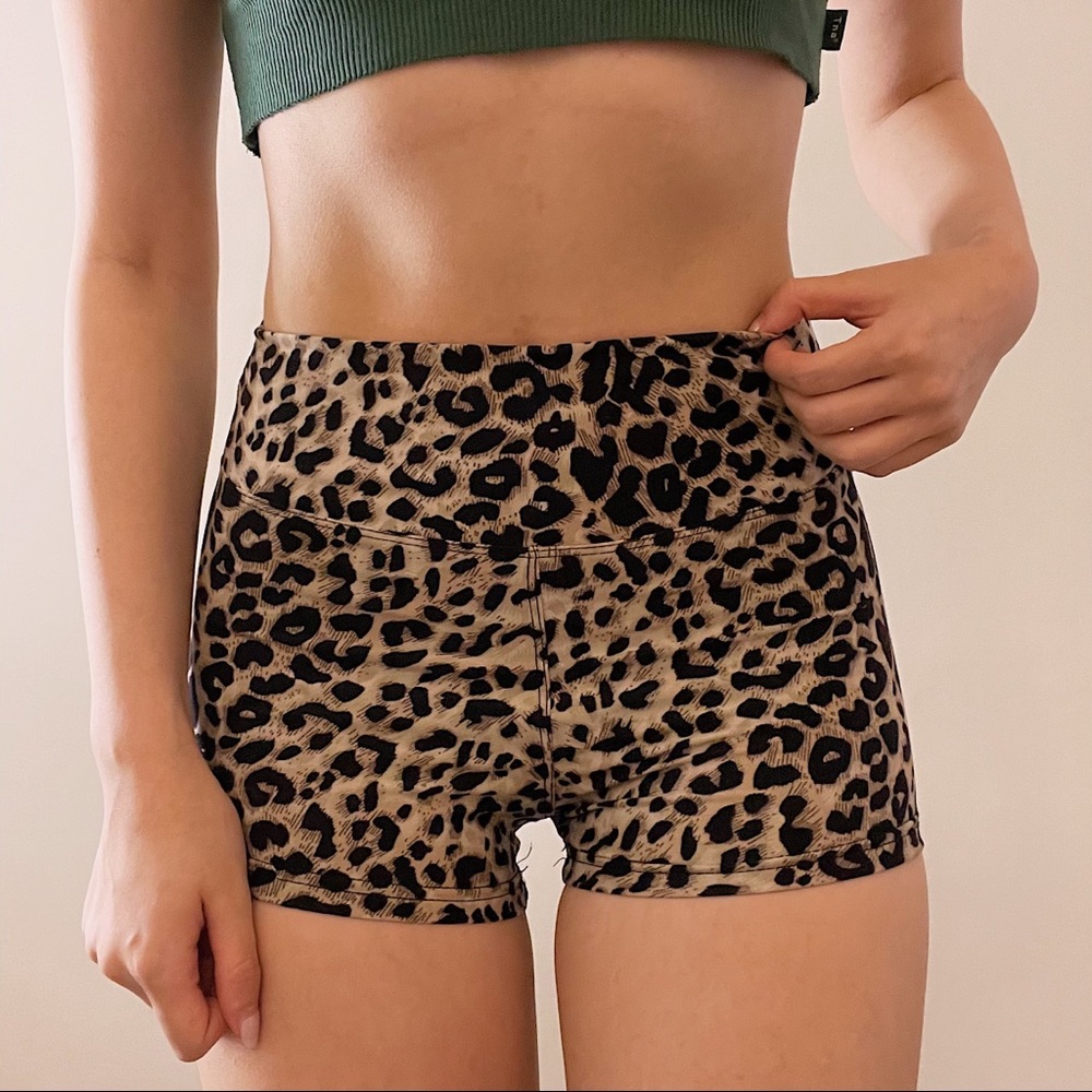 cute leopard print short shorts